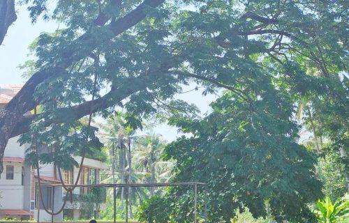 WhatsApp Image 2025-11-07 at 1.25.09 PM